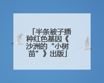 半条被子播种红色基因《沙洲的“小树苗”》出版