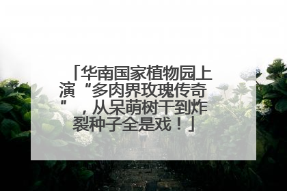 华南国家植物园上演“多肉界玫瑰传奇”，从呆萌树干到炸裂种子全是戏！