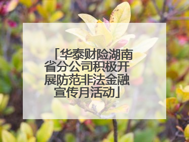 华泰财险湖南省分公司积极开展防范非法金融宣传月活动