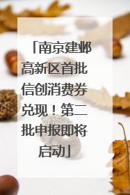 南京建邺高新区首批信创消费券兑现！第二批申报即将启动