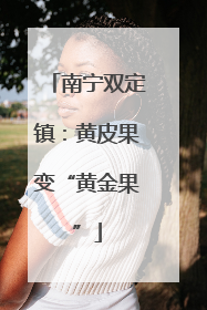 南宁双定镇：黄皮果变“黄金果”
