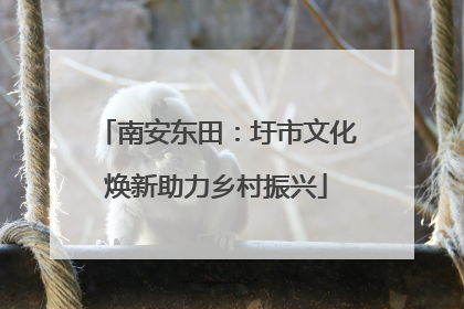 南安东田：圩市文化焕新助力乡村振兴