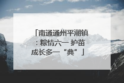 南通通州平潮镇：粽情六一 护苗成长多一“典”
