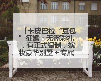 卡皮巴拉“豆包”征婚：无需彩礼，有正式编制，嫁妆豪华别墅＋专属泳池！