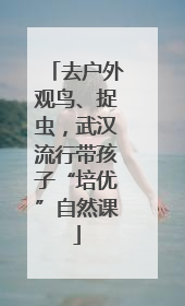 去户外观鸟、捉虫，武汉流行带孩子“培优”自然课