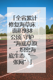 全省累计修复海草床面积938公顷 守护“海底草原”，织密海底生态“一张网”