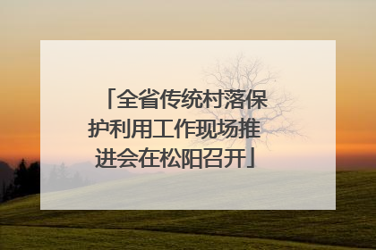 全省传统村落保护利用工作现场推进会在松阳召开
