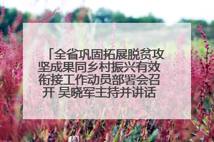 全省巩固拓展脱贫攻坚成果同乡村振兴有效衔接工作动员部署会召开 吴晓军主持并讲话 罗东川作安排部署