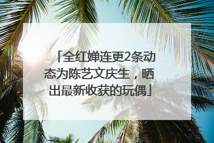 全红婵连更2条动态为陈艺文庆生，晒出最新收获的玩偶