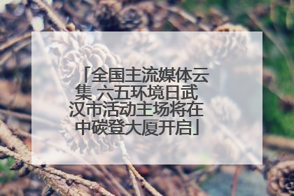 全国主流媒体云集 六五环境日武汉市活动主场将在中碳登大厦开启