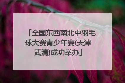 全国东西南北中羽毛球大赛青少年赛(天津武清)成功举办