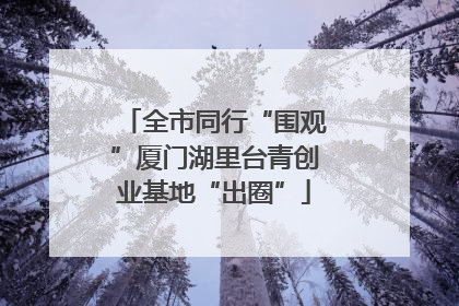 全市同行“围观”厦门湖里台青创业基地“出圈”