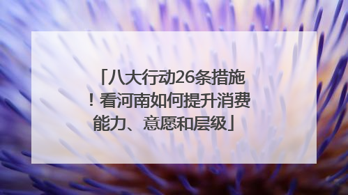 八大行动26条措施！看河南如何提升消费能力、意愿和层级