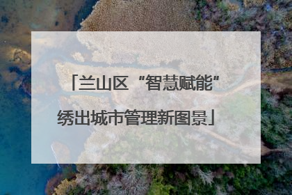 兰山区“智慧赋能”绣出城市管理新图景