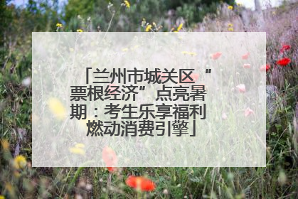 兰州市城关区“票根经济”点亮暑期：考生乐享福利 燃动消费引擎