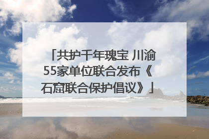 共护千年瑰宝 川渝55家单位联合发布《石窟联合保护倡议》