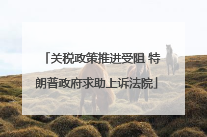 关税政策推进受阻 特朗普政府求助上诉法院
