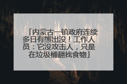 内蒙古一镇政府连续多日有熊出没！工作人员：它没攻击人，只是在垃圾桶翻找食物