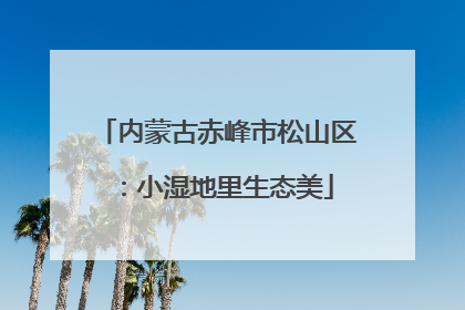 内蒙古赤峰市松山区：小湿地里生态美