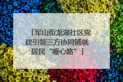 军山街龙湖社区党建引领三方协同铺就居民“暖心路”