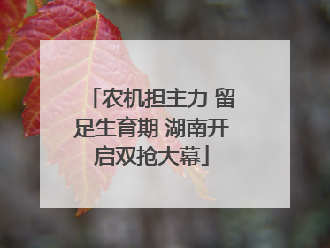 农机担主力 留足生育期 湖南开启双抢大幕