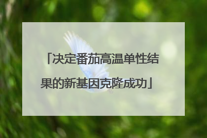 决定番茄高温单性结果的新基因克隆成功