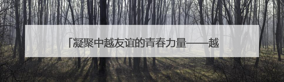 凝聚中越友谊的青春力量——越南青年“红色研学之旅”见闻