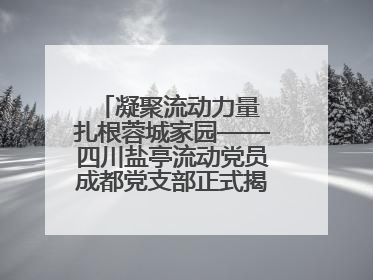 凝聚流动力量 扎根蓉城家园——四川盐亭流动党员成都党支部正式揭牌成立