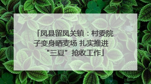 凤县留凤关镇：村委院子变身晒麦场 扎实推进“三夏”抢收工作
