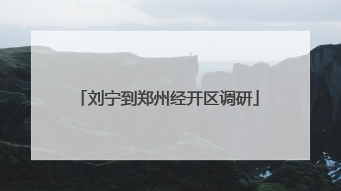 刘宁到郑州经开区调研
