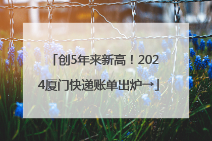 创5年来新高！2024厦门快递账单出炉→