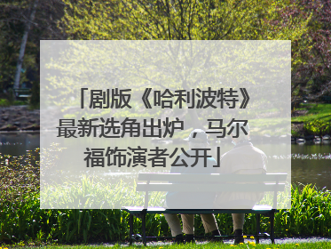 剧版《哈利波特》最新选角出炉，马尔福饰演者公开