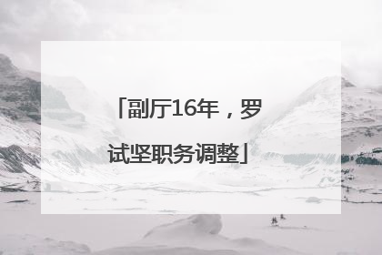 副厅16年，罗试坚职务调整