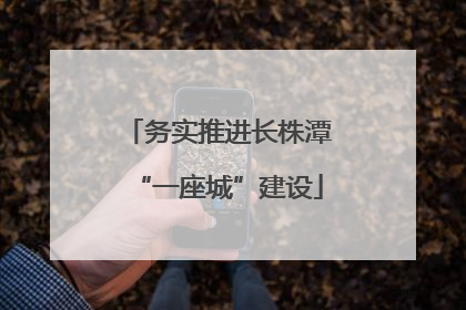 务实推进长株潭“一座城”建设