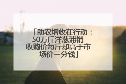 助农增收在行动：50万斤洋葱滞销 收购价每斤却高于市场价三分钱