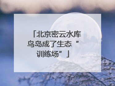 北京密云水库鸟岛成了生态“训练场”