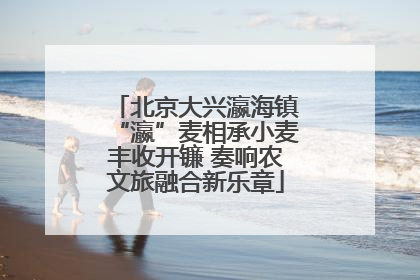 北京大兴瀛海镇“瀛”麦相承小麦丰收开镰 奏响农文旅融合新乐章
