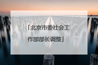 北京市委社会工作部部长调整