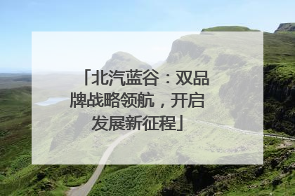 北汽蓝谷：双品牌战略领航，开启发展新征程
