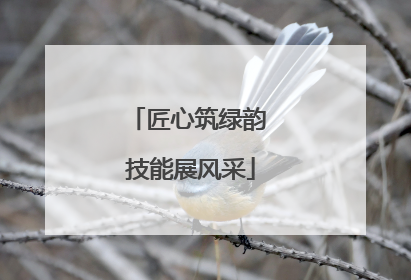 匠心筑绿韵 技能展风采