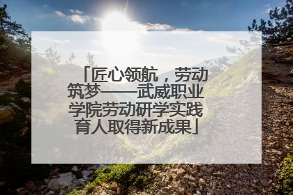 匠心领航，劳动筑梦——武威职业学院劳动研学实践育人取得新成果