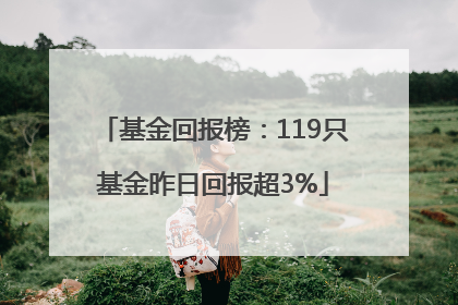 基金回报榜：119只基金昨日回报超3%