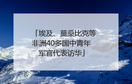 埃及、莫桑比克等非洲40多国中青年军官代表访华
