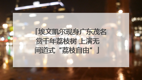 埃文凯尔现身广东茂名 赏千年荔枝树 上演无间道式“荔枝自由”