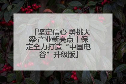 坚定信心 勇挑大梁·产业新亮点丨保定全力打造“中国电谷”升级版