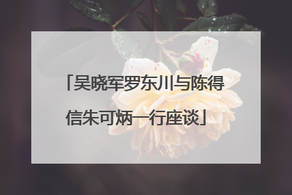 吴晓军罗东川与陈得信朱可炳一行座谈