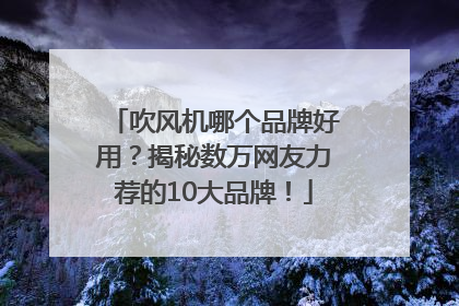 吹风机哪个品牌好用？揭秘数万网友力荐的10大品牌！