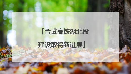 合武高铁湖北段建设取得新进展