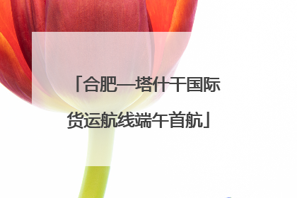 合肥—塔什干国际货运航线端午首航