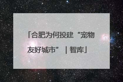 合肥为何投建“宠物友好城市”｜智库